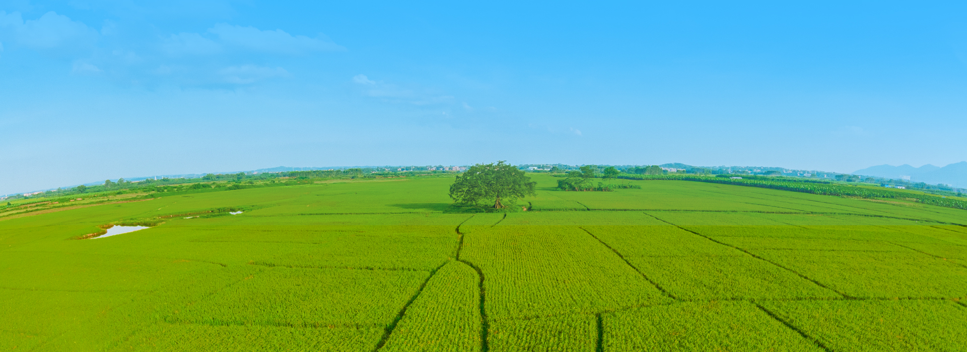 打造示范樣本 助推行業(yè)發(fā)展